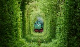 Ngắm đường tàu màu xanh đẹp mê hồn