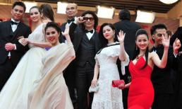 Cục điện ảnh khẳng định không cử nghệ sĩ đi LHP Cannes