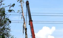 Lái xe cẩu "khai" đã bất cẩn gây mất điện toàn miền Nam như thế nào