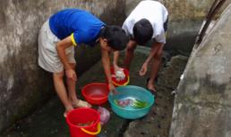 Thân phận "osin cao cấp" của sinh viên thời @