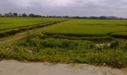 "Quỷ râu xanh" hiếp dâm ban ngày, cả huyện chấn động