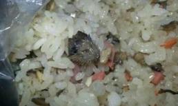 Hãi hùng cơm chiên với đầu chuột