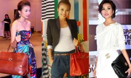 Đã mắt ngắm những túi xách hàng hiệu của Thanh Hằng