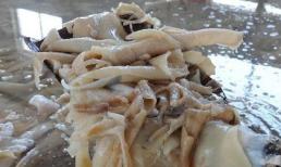 Công nghệ chế khúc bạch từ da lợn thối