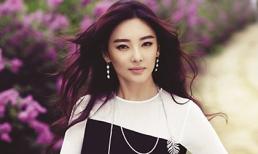 Ngắm vẻ đẹp đầy lôi cuốn của Trương Vũ Ỷ