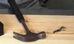 Kinh hoàng con trai giết chết bố mẹ trong bữa cơm trưa