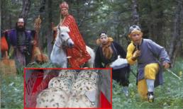 'Thất kinh' với bữa sáng của Tôn Ngộ Không