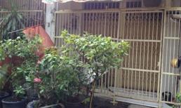 Con trai sát hại dã man cha mẹ ruột