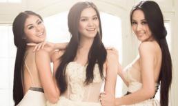 Ai dám nói hoa hậu là học dốt?