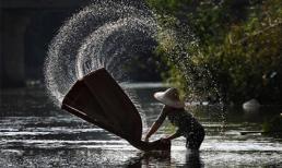 Những hình ảnh khiến cộng đồng mạng “phát cuồng” trong tuần qua