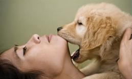 Bắt bạn gái làm 'chuyện ấy' với... chó