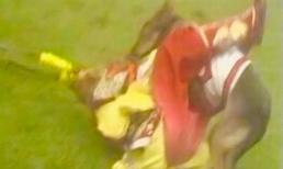 Tôn Ngộ Không bị chó cắn rách quần