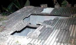 Nằm ngủ cạnh vợ, bị bò đi lạc lên nóc nhà rơi trúng người, tử vong