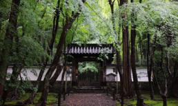 Ngắm vẻ đẹp thanh tịnh của những ngôi đền cổ ở Kyoto