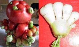 Hàng loạt rau củ biến dạng sau sự cố hạt nhân Fukushima?