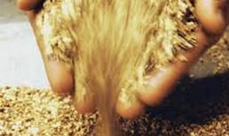 Dấu tích kho vàng của vua Hàm Nghi trên đất Quảng Bình