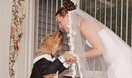 Những tục cưới lạ đời ít biết