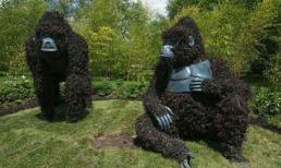 Ngạc nhiên với những bức tượng khổng lồ được làm từ cây