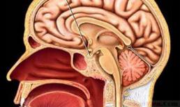 Giải mã căn bệnh triệu người mắc một của Wanbi Tuấn Anh