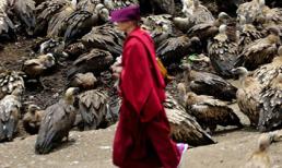 Sốc với phong tục băm người chết cho kền kền ăn