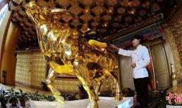 Tục hiến trinh tiết thiếu nữ cho... trâu thời cổ đại