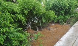 Hai cha con đánh nhau, người cha thiệt mạng