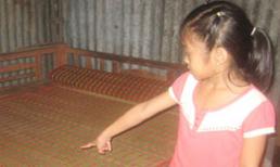 Dụ 'chơi trò con rắn', cậu hiếp dâm cháu gái 13 lần