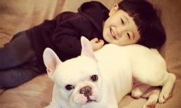 Những bộ ảnh của các nhóc tỳ khiến cư dân mạng 'phát sốt'