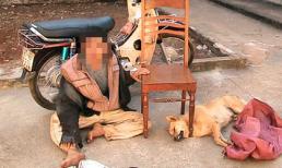 Trộm chó thu nhập 60 triệu/tháng