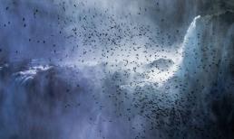 10 bức ảnh thiên nhiên đẹp nhất tháng 6