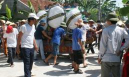 Giết nhầm rồi thách đố: mạng người chỉ 80 triệu chứ mấy?