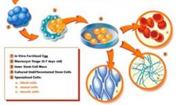 Làm đẹp từ công nghệ PRP