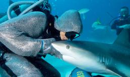 Rách môi vì hôn... cá mập