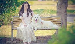 Dương Cẩm Lynh đẹp như sao Hàn bên cún cưng