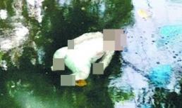 Đau lòng xác trẻ sơ sinh trôi trên sông bị nhầm là búp bê đồ chơi