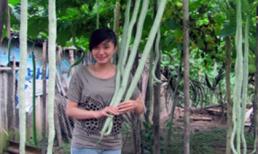 Trái mướp đắng dài bằng... người lớn