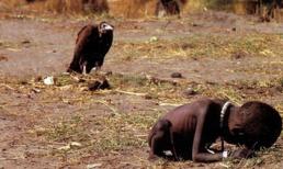 Sự thật đau lòng sau bức ảnh kền kền đợi ăn thịt em bé