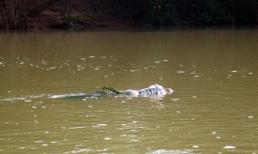 Tội ác đằng sau xác chết không đầu trôi sông