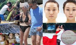 Những bức ảnh "đắt giá" nhất 24h qua (22/8)