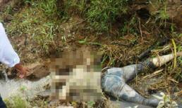 Phát hiện thi thể bị chó gặm 2 cánh tay