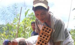 'Người rừng' hớn hở xây dựng nhà mới