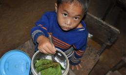 Xót xa cảnh trẻ vùng cao ăn cơm với lá