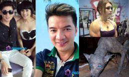 Những bức ảnh "đắt giá" nhất 24h qua (28/8)