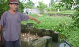 Hà Nội: 15 tuổi giết bé 6 tuổi để... lấy tiền mua xèng