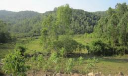 Kinh hoàng chồng giết vợ tàn độc hơn cả thời Trung cổ