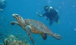 Những hòn đảo đẹp ‘say đắm lòng người’ của Malaysia 