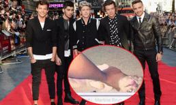 Fan nữ dọa giết chó nếu boyband One Direction không... kết bạn