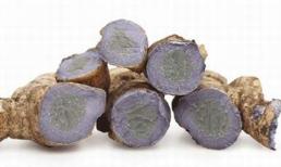 Nghệ đen chữa bệnh