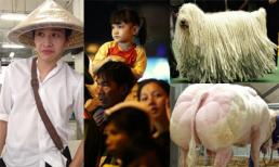 Những bức ảnh "đắt giá" nhất 24h qua (18/9)