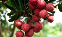 Những loại thực phẩm khi đói không nên ăn